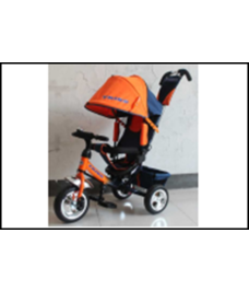 Trike Travel T2O